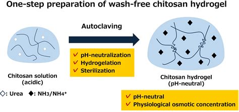 autoclave chitosan discoloration|autoclaving hydrogelization.